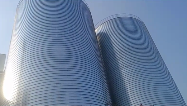 秦皇岛2座混凝土高架卷板仓